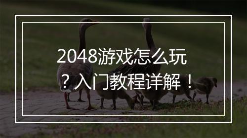 2048游戏怎么玩？入门教程详解！