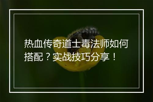热血传奇道士毒法师如何搭配？实战技巧分享！