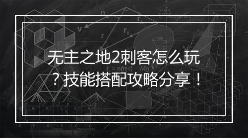无主之地2刺客怎么玩？技能搭配攻略分享！