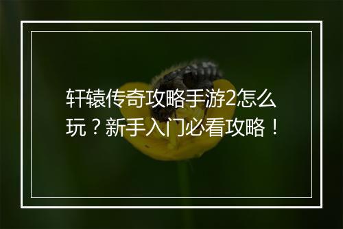 轩辕传奇攻略手游2怎么玩？新手入门必看攻略！
