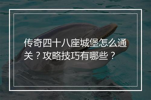 传奇四十八座城堡怎么通关？攻略技巧有哪些？
