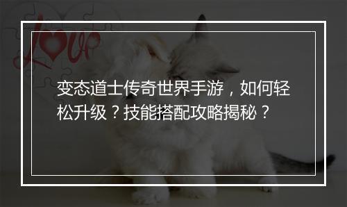 变态道士传奇世界手游，如何轻松升级？技能搭配攻略揭秘？