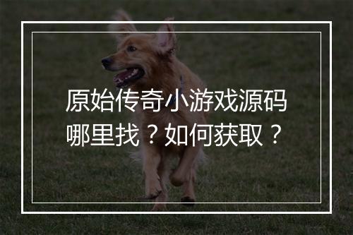 原始传奇小游戏源码哪里找？如何获取？