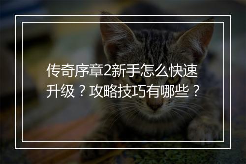 传奇序章2新手怎么快速升级？攻略技巧有哪些？