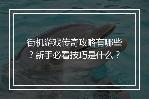 街机游戏传奇攻略有哪些？新手必看技巧是什么？