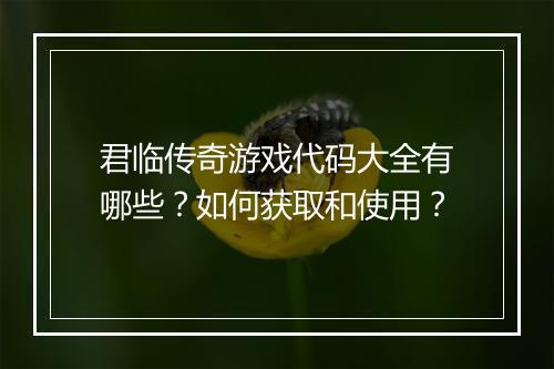 君临传奇游戏代码大全有哪些？如何获取和使用？