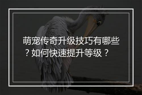 萌宠传奇升级技巧有哪些？如何快速提升等级？