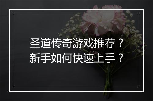 圣道传奇游戏推荐？新手如何快速上手？