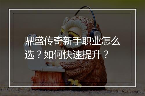 鼎盛传奇新手职业怎么选？如何快速提升？