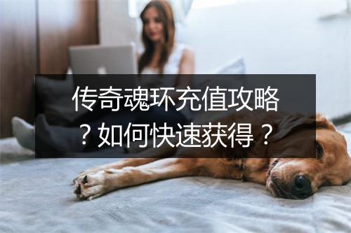 传奇魂环充值攻略？如何快速获得？