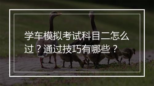 学车模拟考试科目二怎么过？通过技巧有哪些？