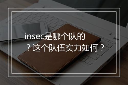 insec是哪个队的？这个队伍实力如何？