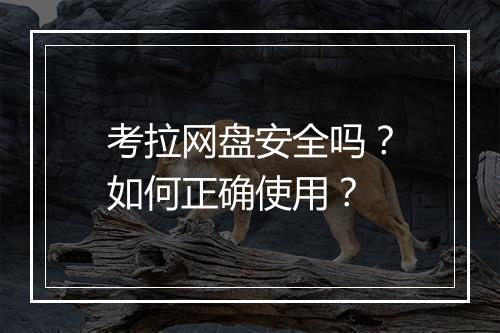 考拉网盘安全吗？如何正确使用？