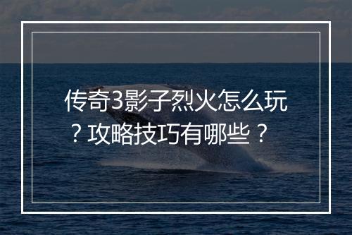 传奇3影子烈火怎么玩？攻略技巧有哪些？