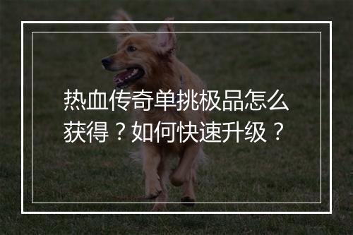 热血传奇单挑极品怎么获得？如何快速升级？