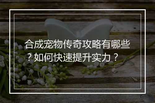 合成宠物传奇攻略有哪些？如何快速提升实力？