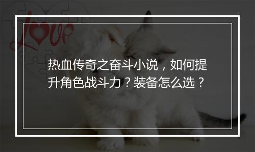 热血传奇之奋斗小说，如何提升角色战斗力？装备怎么选？