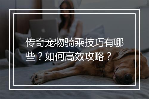 传奇宠物骑乘技巧有哪些？如何高效攻略？