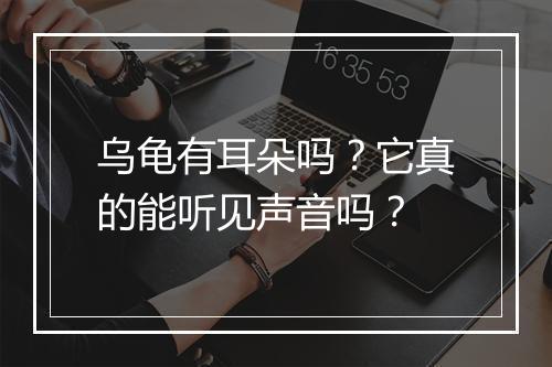 乌龟有耳朵吗？它真的能听见声音吗？