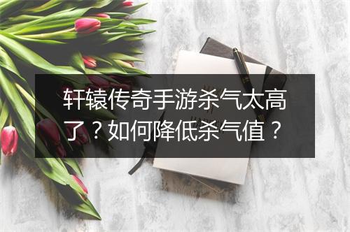 轩辕传奇手游杀气太高了？如何降低杀气值？