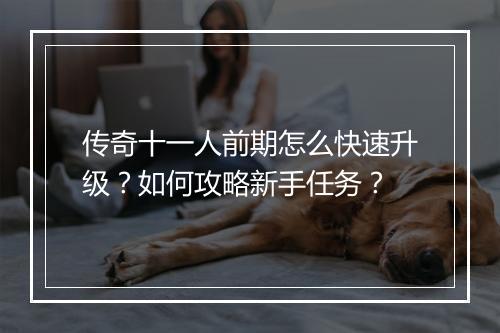 传奇十一人前期怎么快速升级？如何攻略新手任务？