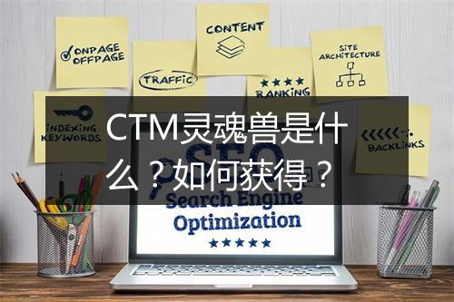 CTM灵魂兽是什么？如何获得？