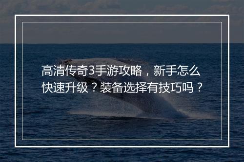 高清传奇3手游攻略，新手怎么快速升级？装备选择有技巧吗？