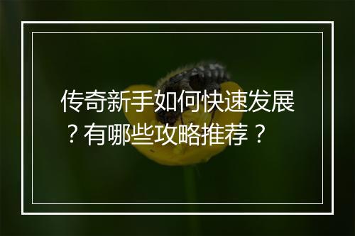 传奇新手如何快速发展？有哪些攻略推荐？