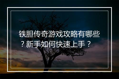 铁胆传奇游戏攻略有哪些？新手如何快速上手？