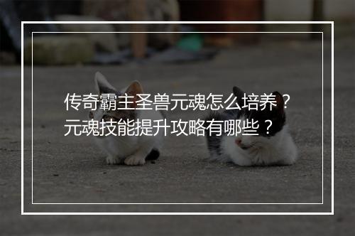 传奇霸主圣兽元魂怎么培养？元魂技能提升攻略有哪些？