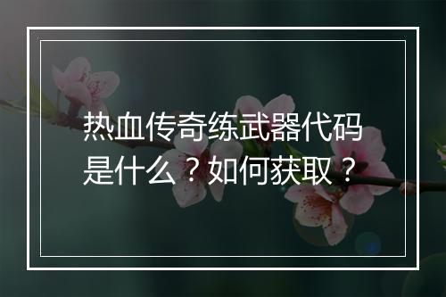 热血传奇练武器代码是什么？如何获取？