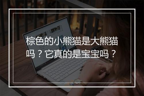 棕色的小熊猫是大熊猫吗？它真的是宝宝吗？