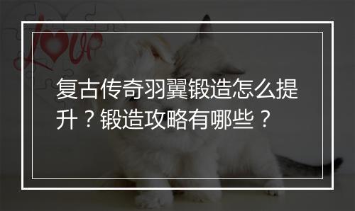 复古传奇羽翼锻造怎么提升？锻造攻略有哪些？