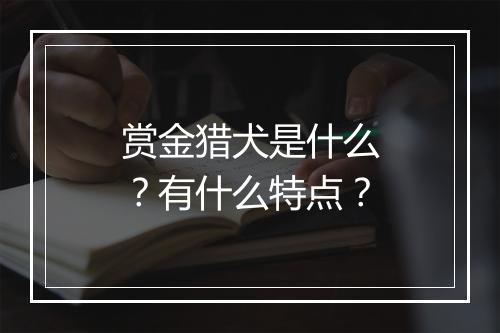 赏金猎犬是什么？有什么特点？