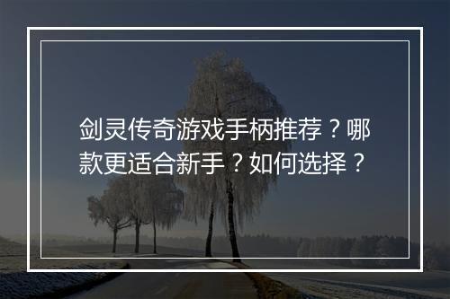 剑灵传奇游戏手柄推荐？哪款更适合新手？如何选择？