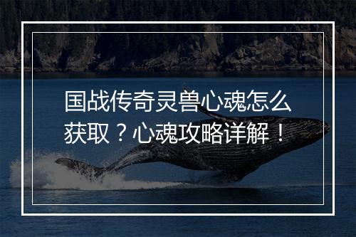 国战传奇灵兽心魂怎么获取？心魂攻略详解！