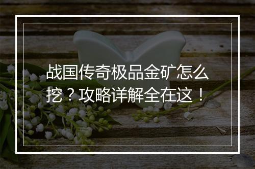 战国传奇极品金矿怎么挖？攻略详解全在这！