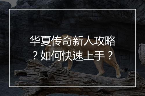 华夏传奇新人攻略？如何快速上手？