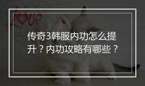 传奇3韩服内功怎么提升？内功攻略有哪些？