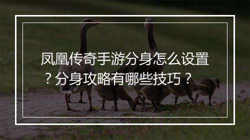 凤凰传奇手游分身怎么设置？分身攻略有哪些技巧？