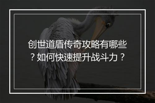 创世道盾传奇攻略有哪些？如何快速提升战斗力？