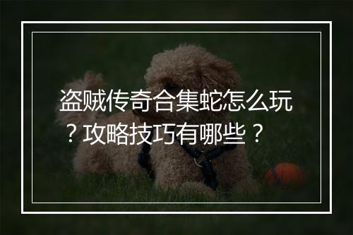 盗贼传奇合集蛇怎么玩？攻略技巧有哪些？