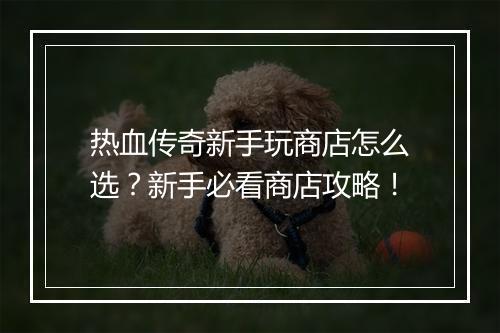 热血传奇新手玩商店怎么选？新手必看商店攻略！
