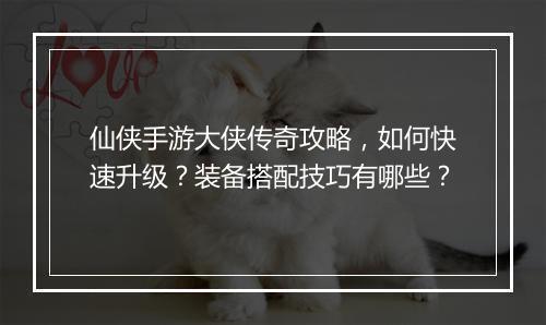 仙侠手游大侠传奇攻略，如何快速升级？装备搭配技巧有哪些？