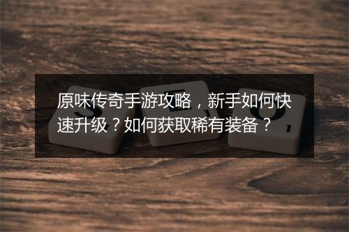 原味传奇手游攻略，新手如何快速升级？如何获取稀有装备？