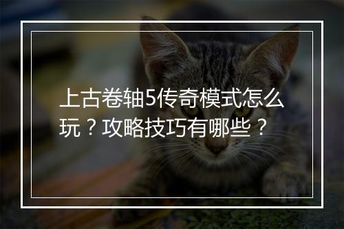 上古卷轴5传奇模式怎么玩？攻略技巧有哪些？