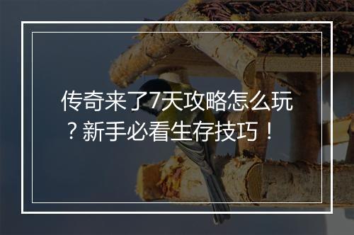 传奇来了7天攻略怎么玩？新手必看生存技巧！