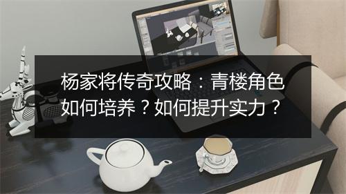 杨家将传奇攻略：青楼角色如何培养？如何提升实力？