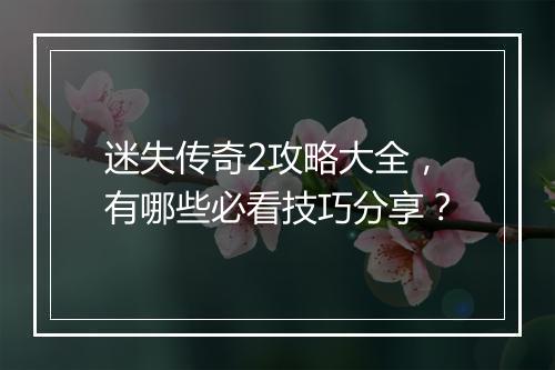 迷失传奇2攻略大全，有哪些必看技巧分享？