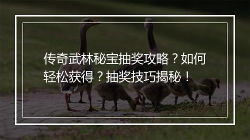 传奇武林秘宝抽奖攻略？如何轻松获得？抽奖技巧揭秘！